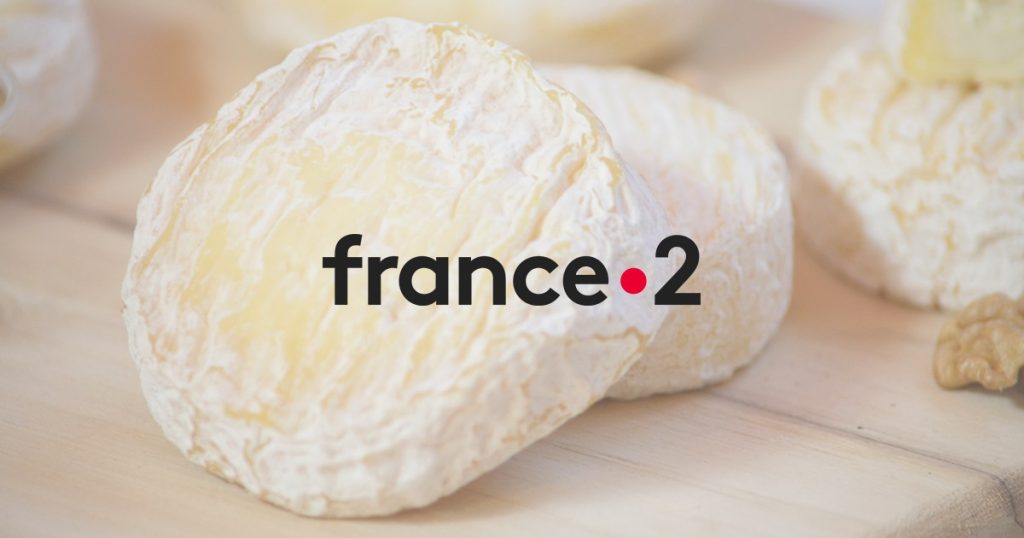 fromage-saint-marcellin-france2