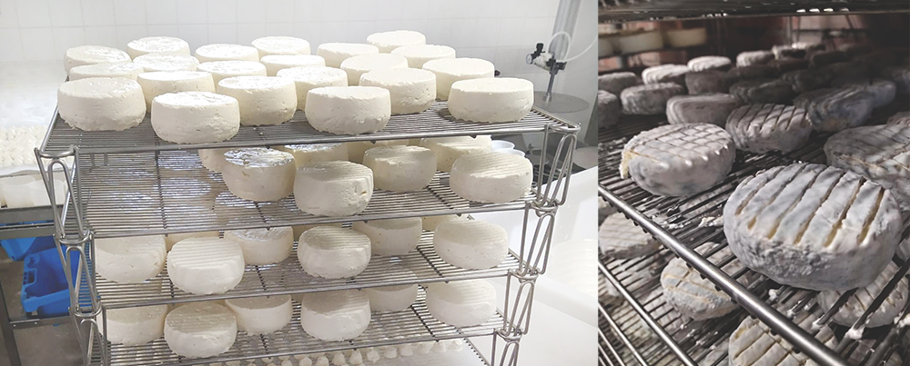 fromagerie-orlando-atelier