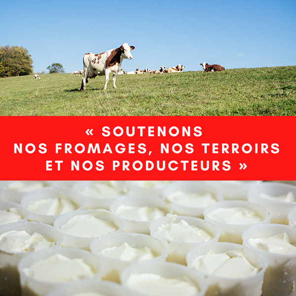 lettre-ouverte-fromages