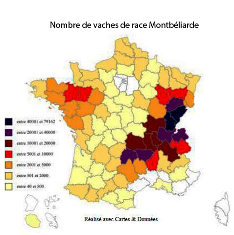 montbeliarde-carte-france