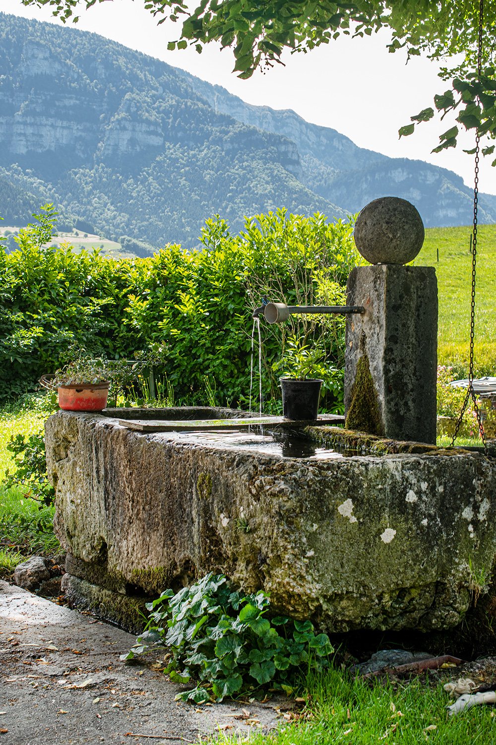 Gaec-de-la-Gourmandiere-bassin