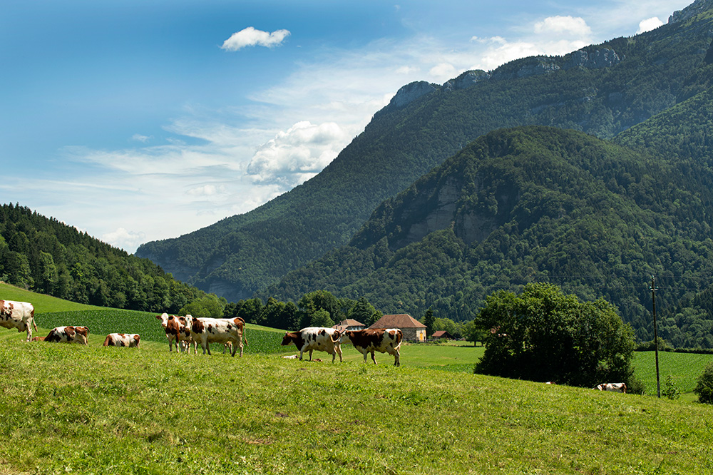 Gaec-de-la-Gourmandiere