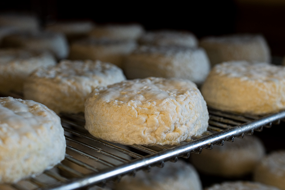 saint-marcellin-fromagerie-orlando