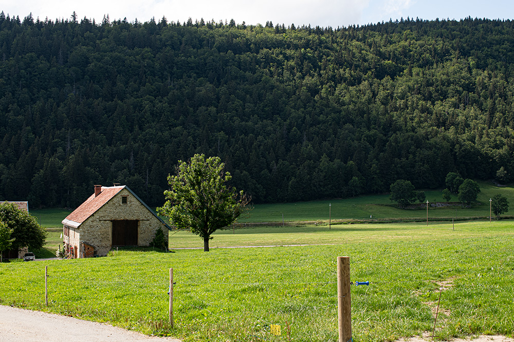 gaec-verts-sapins