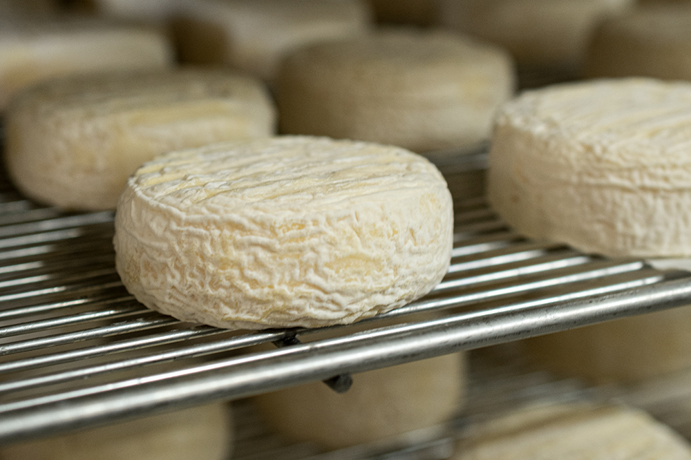 fromagerie-rochas-saint-marcellin-igp