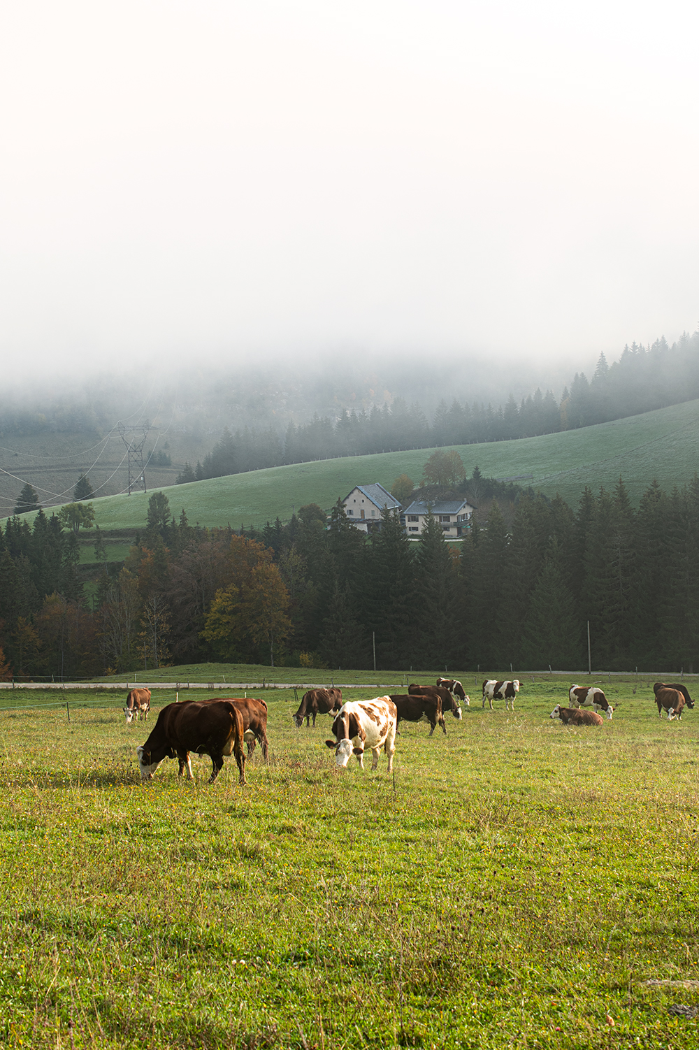 gaec-ecureuils