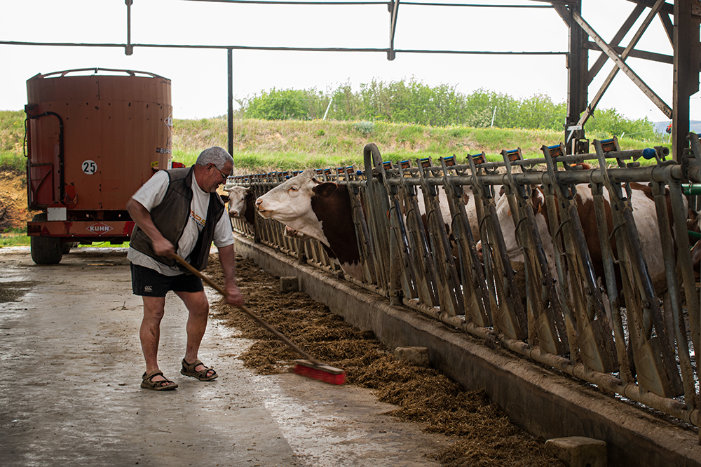 yves-gruel producteur laitier