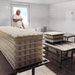 visite fromagerie le murinois saint-marcellin IGP