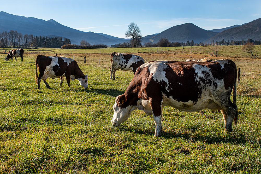 Ferme de la Grand' Mèche